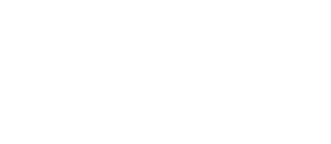FlexAir logo

